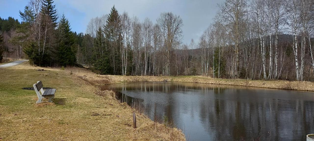 Apartmán Strážný Esterno foto