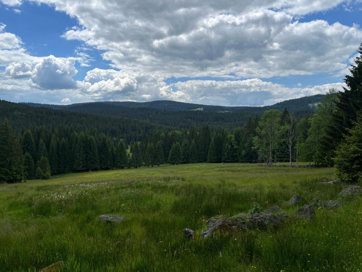 Apartmán Strážný Esterno foto